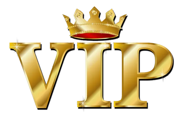 Playground realizzati per VIP